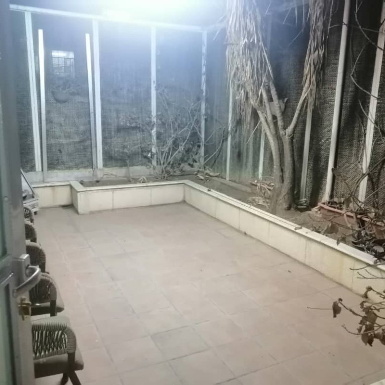 🏡 للبيع – بيت بالمزرعة 🌹 8 IMG 3152