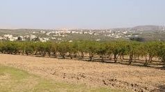 أراضي للبيع في إدلب