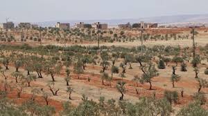 أراضي للبيع في إدلب - أهم العروض التي ظهرت خلال 2025