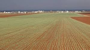 أراضي للبيع في إدلب - الفرق بين الأراضي الزراعية والسكنية