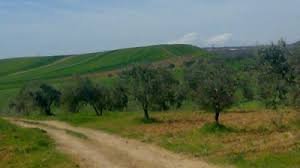 أراضي للبيع في إدلب - متوسط الأسعار في بداية ونهاية العام