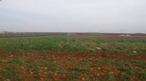 أراضي للبيع في إدلب - مساحات مطروحة ضمن الميزانيات المتوسطة