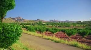 أراضي للبيع في دمشق: دليل شامل للمواقع والأسعار لعام 2025 6 أراضي للبيع في دمشق - خيارات مناسبة للبناء أو الاستثمار