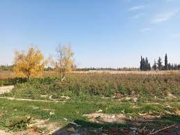 أراضي للبيع في ريف دمشق 2025